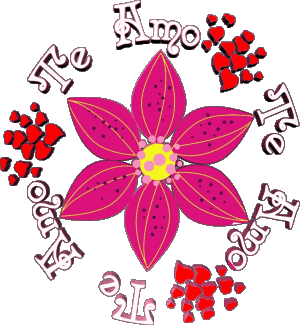 01 Te Amo Espagnol Messages 