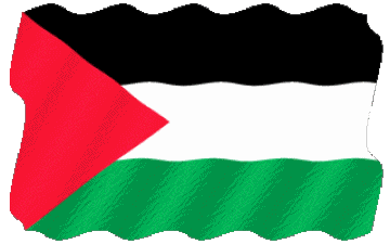Waving Palestine Asia Flags 