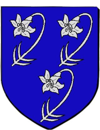 THIAIS 94 Abteilungen - Städte Frankreich Fahnen 