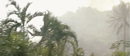 Video First blood PART 2 Rambo Películas Internacional Multimedia 