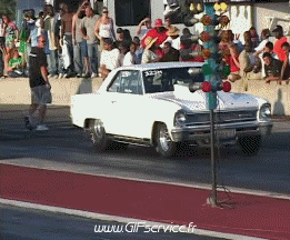 Wheeling Car Autos Transport Humor -  Fun 