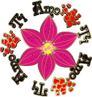 01 Ti Amo Italienisch Nachrichten 