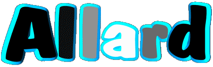 Allard A MASCULINO - Francia Nombre 