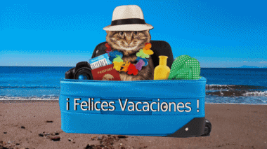 003 Animated Background Felices Vacaciones Spanish Messages 