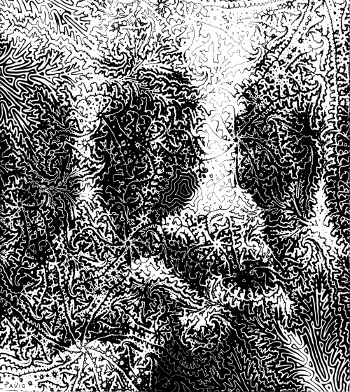 Bill Tavis GIF Artists Humor -  Fun 