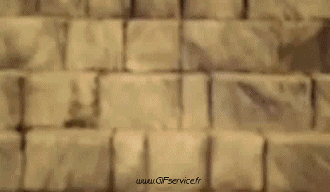 01 Hunde Tiere Humor -  Fun 