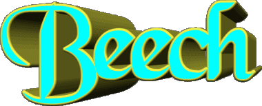 Beech B MASCULINO - UK - USA - IRL - AUS - NZ Nombre 