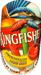 Kingfisher Indien Bier Getränke 
