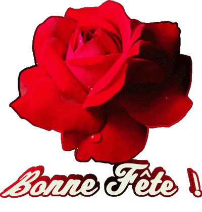 01 Bonne Fête French Messages 