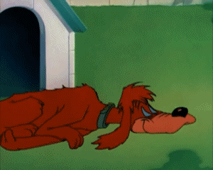 The Counterfeit Cat Tex Avery Dessins Animés TV Cinéma Multi Média 