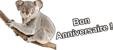 013 Animaux Bon Anniversaire Francese Messagi 