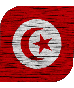 Quadrato Tunisia Africa Bandiere 