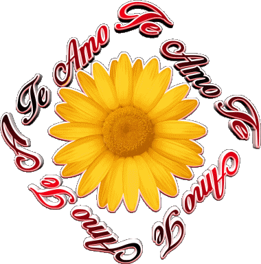 02 Te Amo Espagnol Messages 