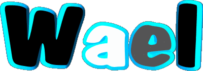 Wael W MASCULIN - Maghreb Musulman Prénoms 
