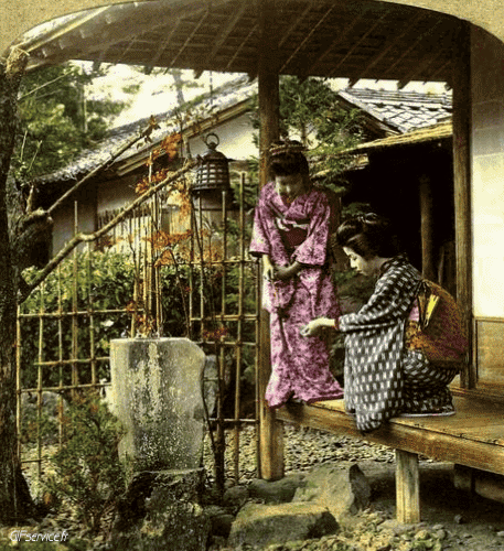 Stéreoscopique Wiggle Efectos 3d Humor - Fun 