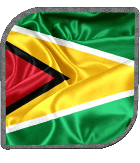 Quadrato Guyana America Bandiere 