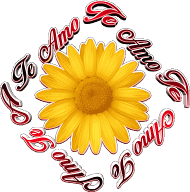 02 Te Amo Español Mensajes 