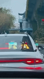 Funny Cars Transport Humor -  Fun 