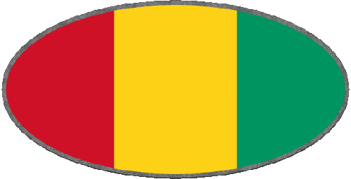 Ovale 01 Guinée Afrique Drapeaux 