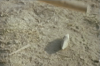 Video Y SI NO, NOS ENFADAMOS ! Películas Internacional Multimedia 