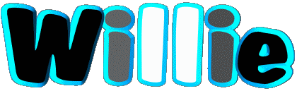 Willie W MANN - UK - USA - IRL - AUS - NZ Vorname 