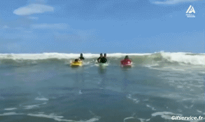 Gamelle Fail Surf Sport Humor -  Fun 