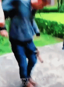 01 Eichhörnchen Tiere Humor -  Fun 