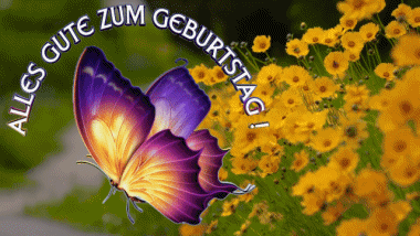 004 Animierter Hintergrund Schmetterlinge Alles Gute zum Geburtstag Deutsche Nachrichten 