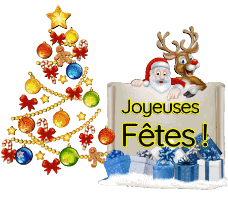 Serie 23 Joyeuses Fêtes (Noël) French Messages 