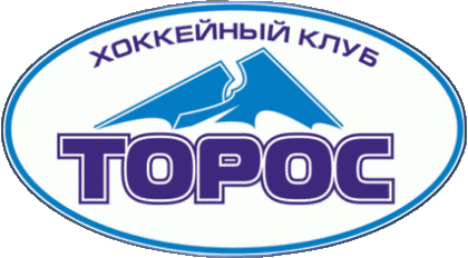 Toros Neftekamsk Russland Eishockey Sport 