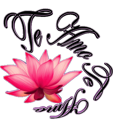 03 Te Amo Spanisch Nachrichten 