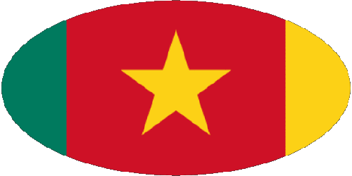 Verschiedene Kamerun Afrika Fahnen 