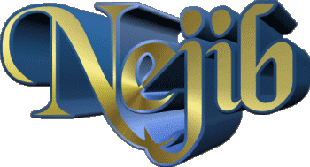 Nejib N MASCULIN - Maghreb Musulman Prénoms 