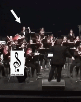 Serie 01 Lustige Musiker MENSCHEN Humor -  Fun 