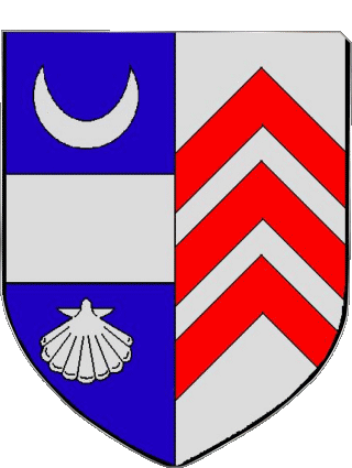 Blason-Blason SAUJON 17 Départements - Villes France Drapeaux 