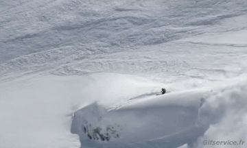 Free Ride Fun Win Ski Sport Humor -  Fun 