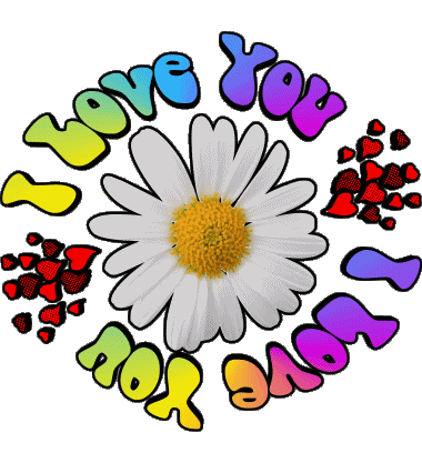 04 I Love You Anglais Messages 