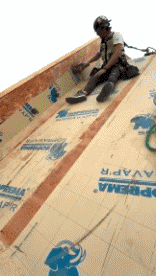 Fun - Win Al lavoro PERSONE Umorismo -  Fun 