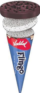 Vadilal Ice cream Food 