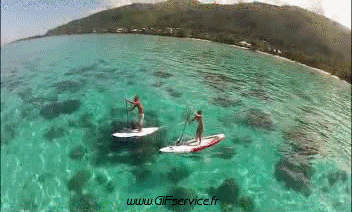 Fun Win Paddle Sports Humor -  Fun 