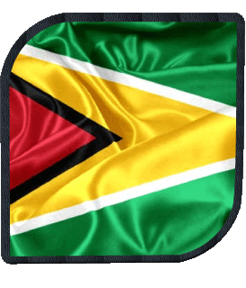 Platz Guyana Amerika Fahnen 