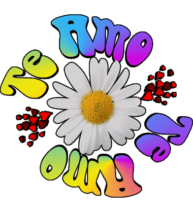 04 Te Amo Spagnolo Messagi 