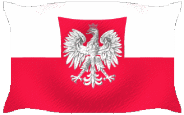 Ondulation Pologne Europe Drapeaux 