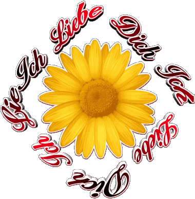 02 Ich Liebe Dich Allemand Messages 