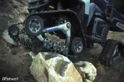 Fun - Win Quad Transport Humor -  Fun 