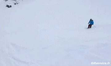 Free Ride Fun Win Sciare Sportivo Umorismo -  Fun 