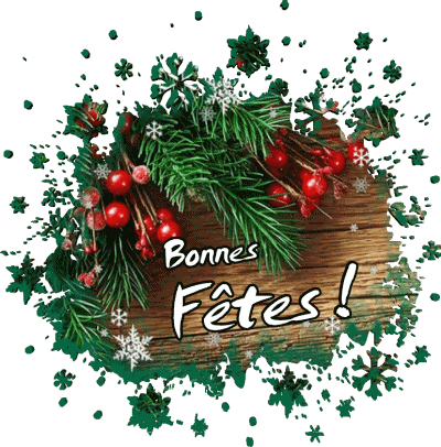 Serie 14 Bonnes Fêtes (Noël) Français Messages 