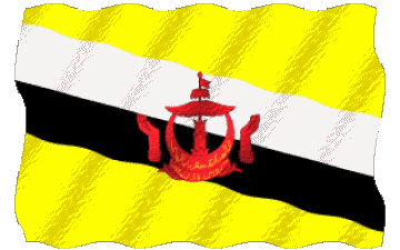Waving Brunei Asia Flags 