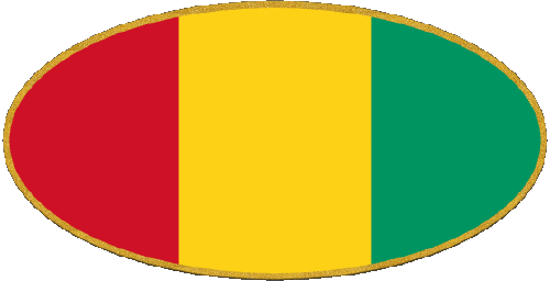 Oval 01 Guinea Afrika Fahnen 