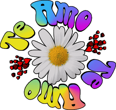 04 Te Amo Spanish Messages 